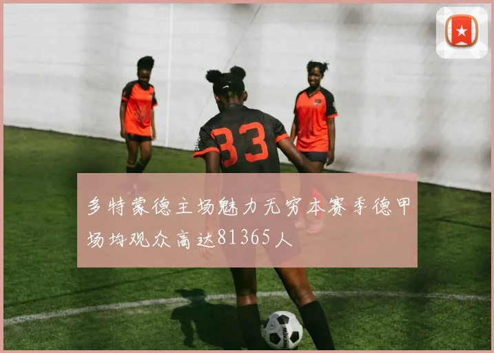 多特蒙德主场魅力无穷本赛季德甲场均观众高达81365人